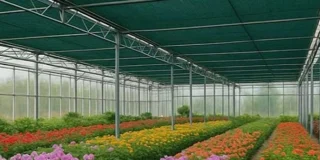 راهنمای خرید سایبان توری شید | انتخاب سایبان ماشین، گلخانه‌ای و کشاورزی